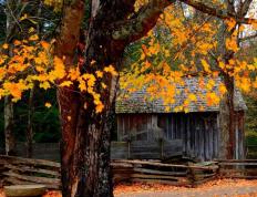 英雄联盟全球总决赛冠亚军决赛四川打響(xiǎng)