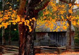 英雄联盟全球总决赛冠亚军决赛四川打響(xiǎng)