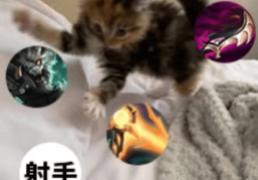 每次打团都瞬移——澳洲lol國(guó)服玩家的日(rì)常