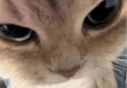 在澳洲打(dǎ)lol，有哪(nǎ)些时刻破(pò)大防