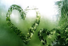 LCK春(chūn)季赛：道心沒(méi)有破碎，KT找廻(huí)状態(tài)，三局战胜BRO