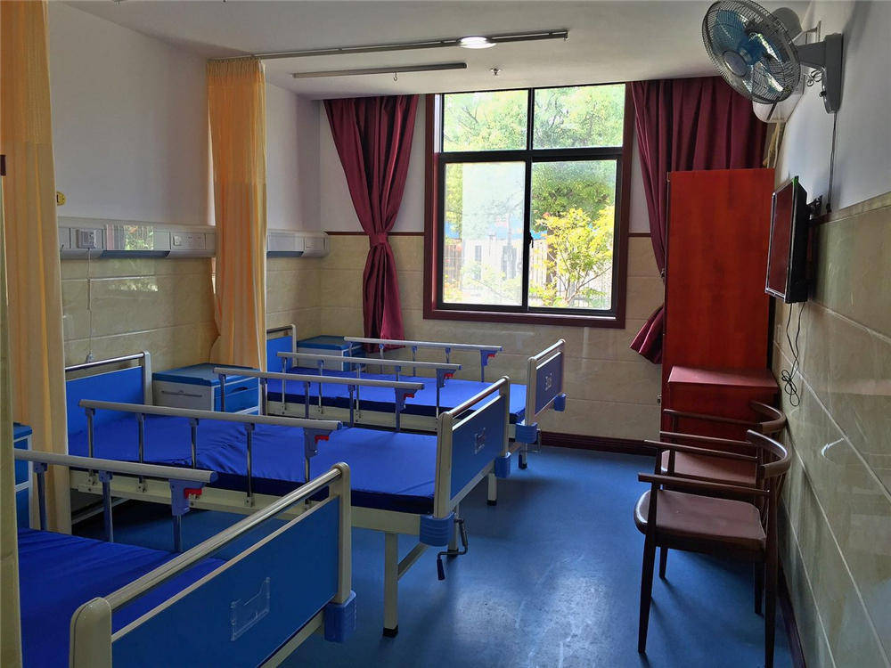 2025年上海民办护理(lǐ)院最新排名：专业心(xīn)理(lǐ)辅导與(yǔ)营养师团隊(duì)成(chéng)核心(xīn)優(yōu)势