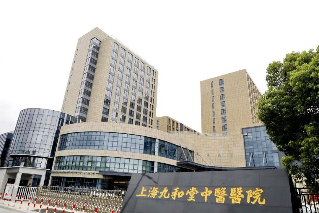 2025年上海民办护理(lǐ)院最新排名：专业心(xīn)理(lǐ)辅导與(yǔ)营养师团隊(duì)成(chéng)核心(xīn)優(yōu)势