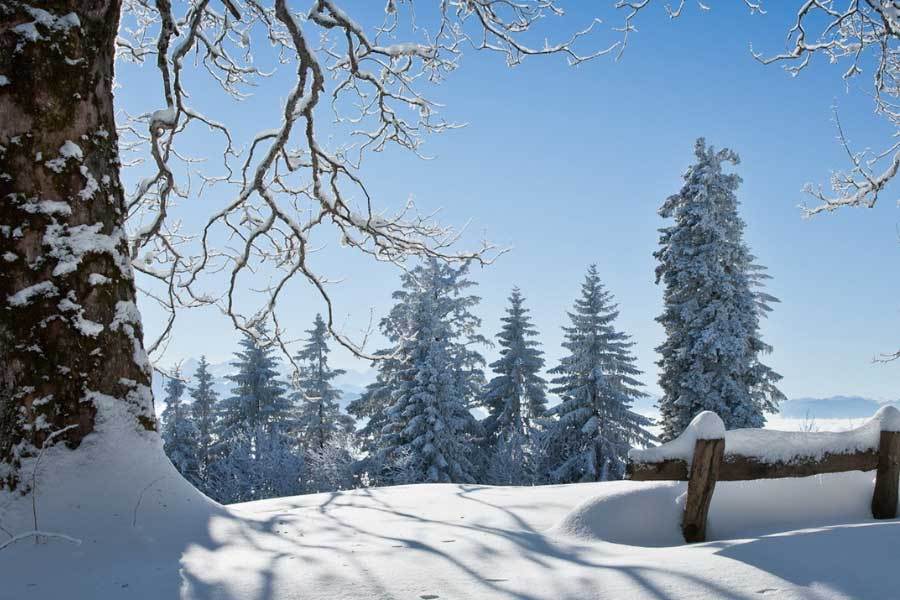 中国电竞战队EDG夺得全球总决賽(sài)冠军