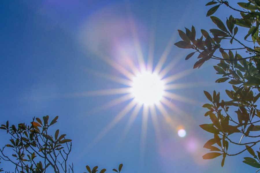 中国电竞战队EDG夺得全球总决賽(sài)冠军