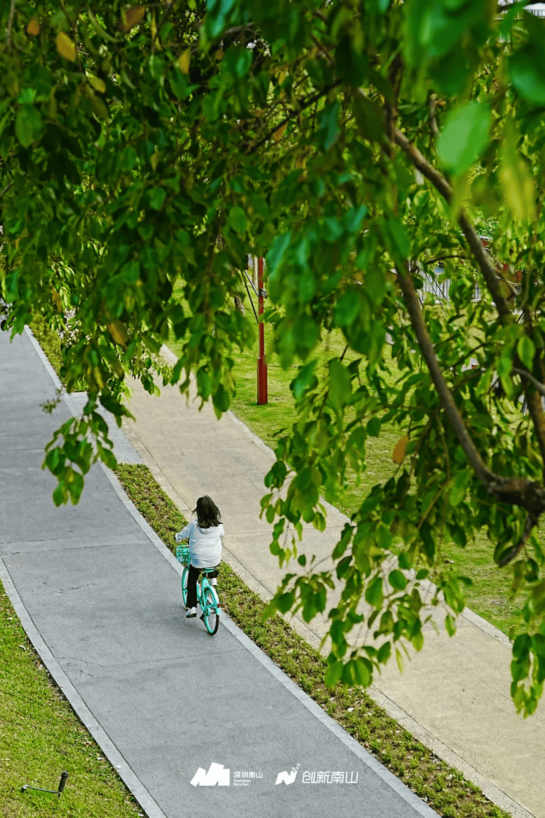 全球(qiú)总决赛，就在南山！