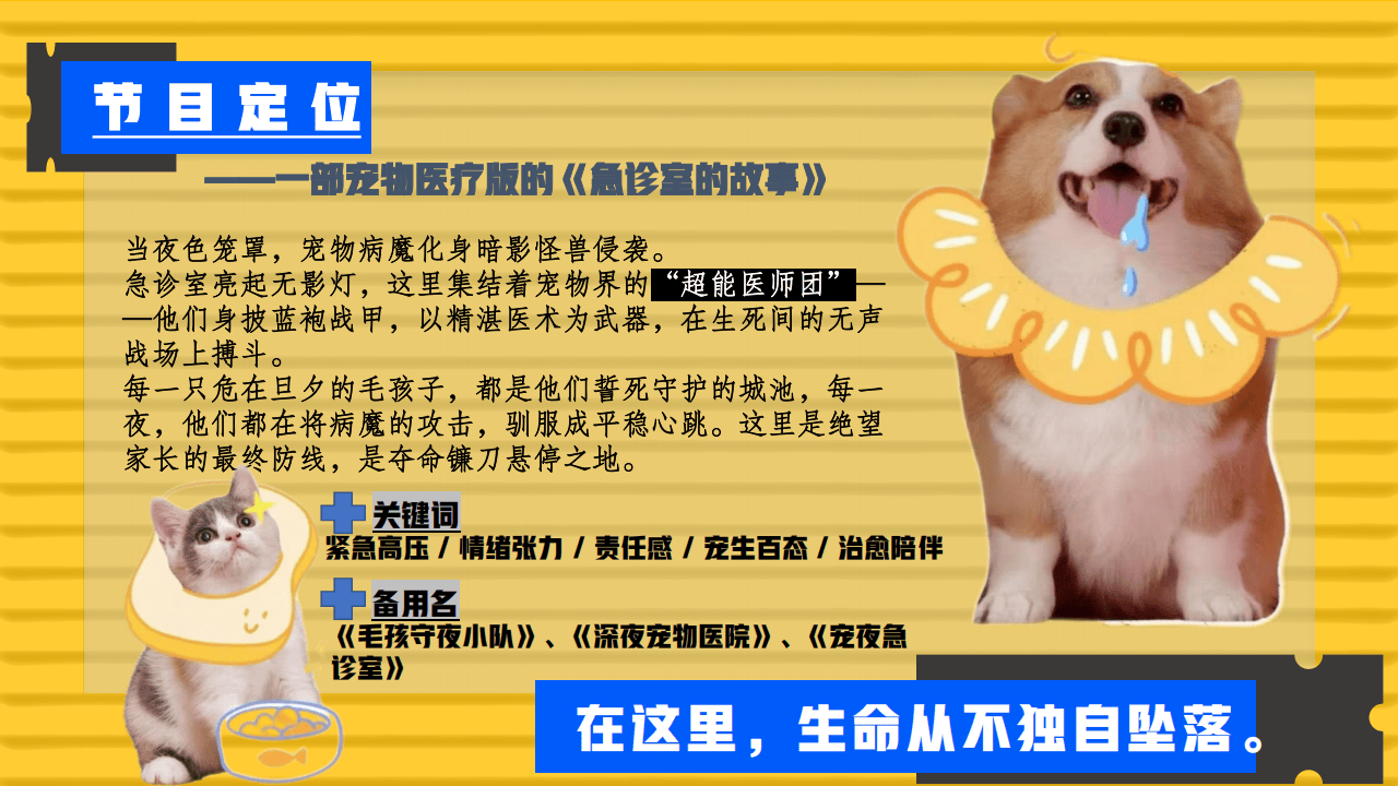 嗶(bì)哩嗶(bì)哩运营：嗶(bì)哩嗶(bì)哩纪录片《深(shēn)夜宠物急诊室》招商方案(1)